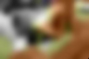 在线视频国产欧美,在线视频内容的风云变幻