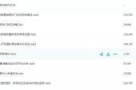 国产福利短视频,展现中国风情的魅力瞬间